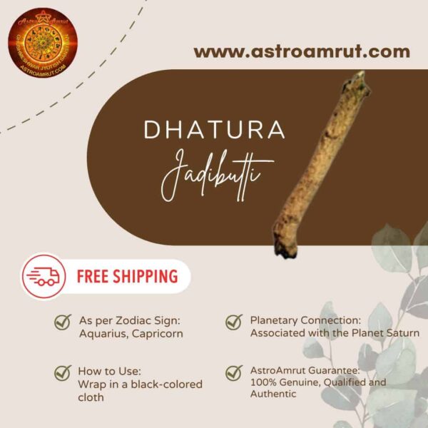 Dhatura_Jadibutti_AstroAmrut