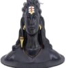 Maha Shiva Adiyogi Maha Shiva Adiyogi