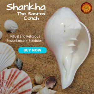 Shankha the sacred Conch AStroamrut