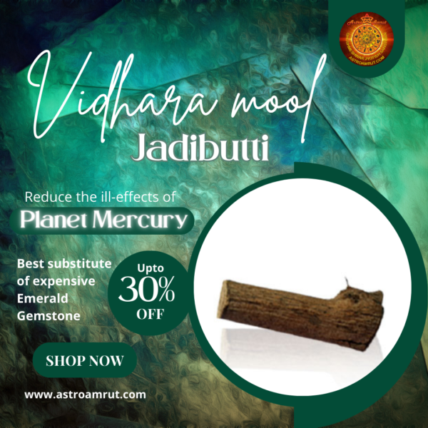 Vidhara_Mool_Jadibutti_Astroamrut