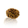 Do Mukhi / Two faced Rudraksha