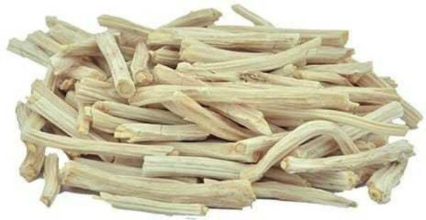 SHATAVARI ROOT Astro Amrut