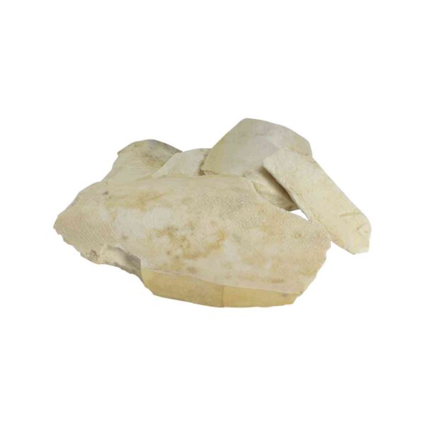 Samudra Jhag Astro Amrut