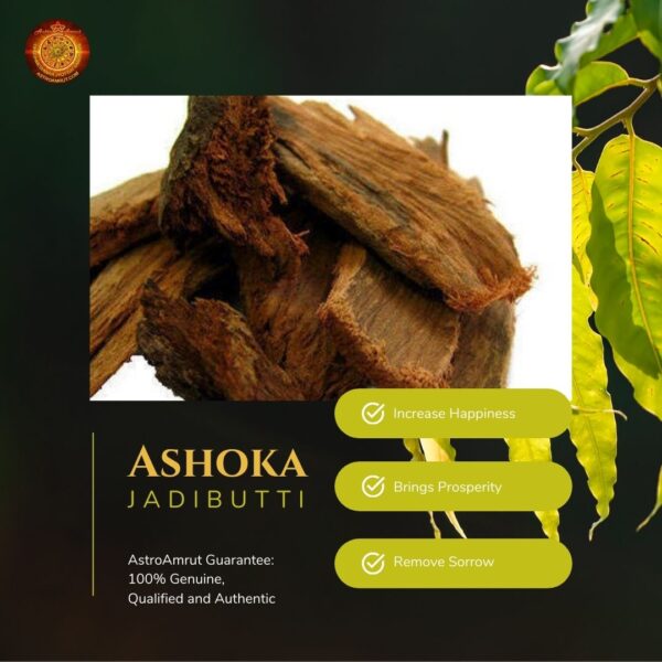 Ashoka_Jadibutti_AstroAmrut1