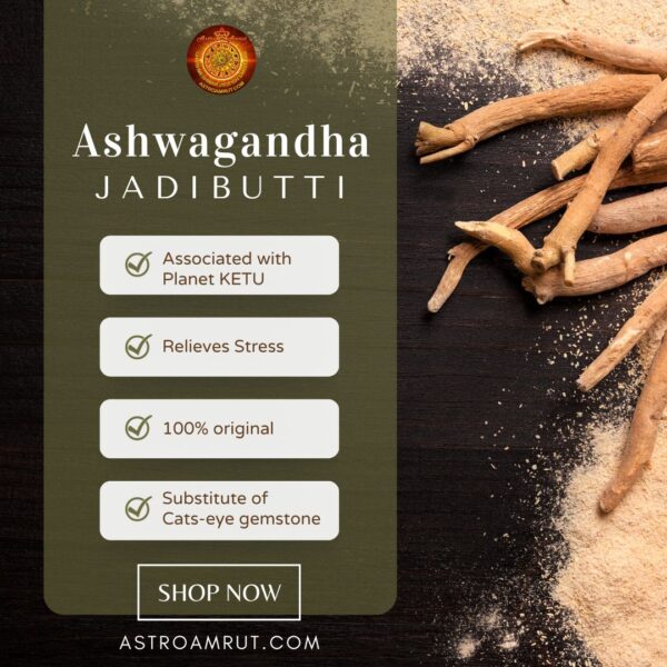 Ashwagandha_Jadibutti_AstroAmrut Ashwagandha_Jadibutti_AstroAmrut