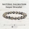 Natural Dalmation Jasper Bracelet
