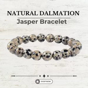 Natural Dalmation Jasper Bracelet