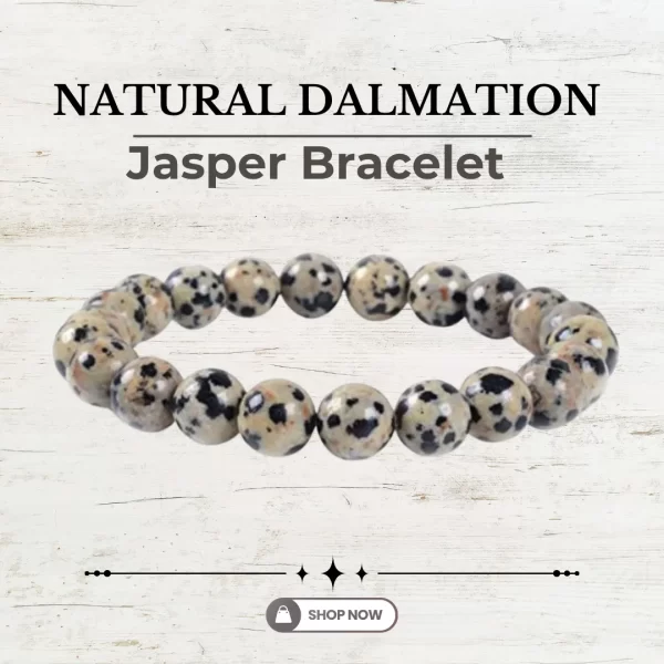 Natural Dalmation Jasper Bracelet
