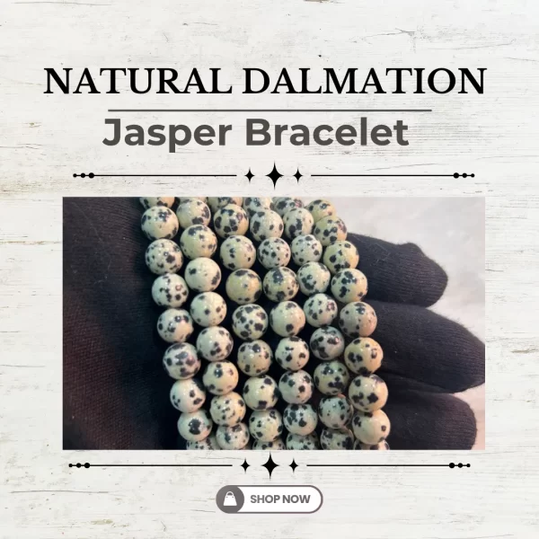 Natural Dalmation Jasper Bracelet