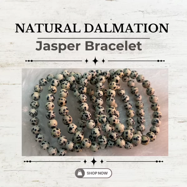 Natural Dalmation Jasper Bracelet