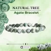 Natural Tree Agate Bracelet