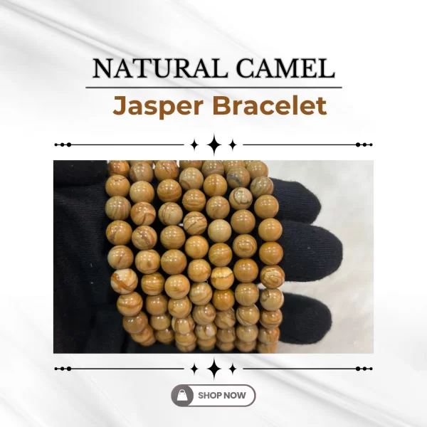 Natural Picture Jasper Bracelet