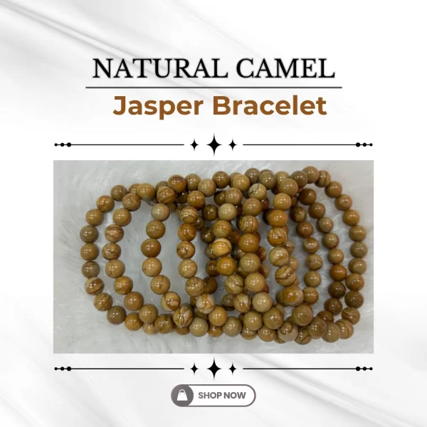 Natural Camel Jasper Bracelet