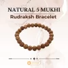 Natural 5 Mukhi Rudraksh Bracelet