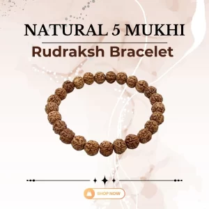 Natural 5 Mukhi Rudraksh Bracelet