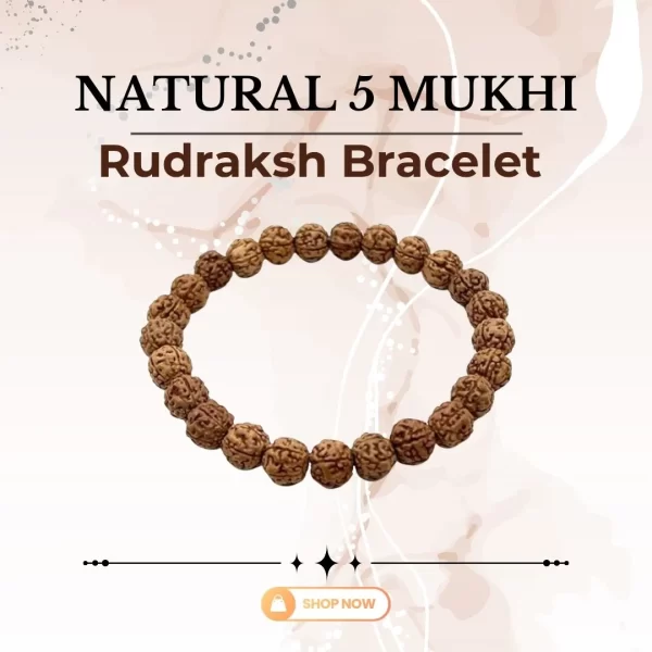 Natural 5 Mukhi Rudraksh Bracelet