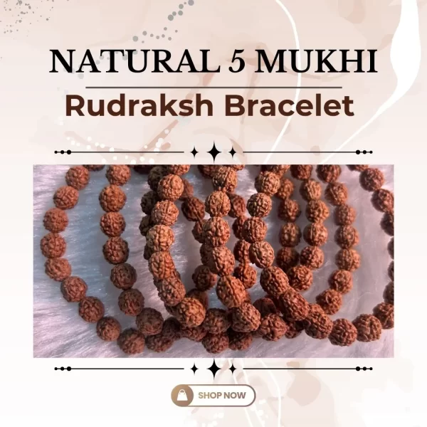 Natural 5 Mukhi Rudraksh Bracelet