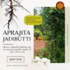 Aprajita_Jadibutti_AstroAmrut1