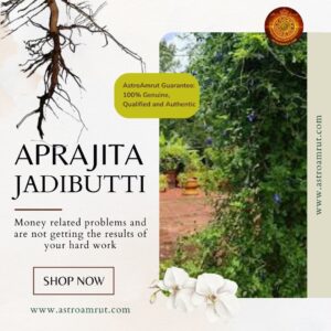 Aprajita_Jadibutti_AstroAmrut1