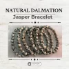 Natural Dalmation Jasper Bracelet